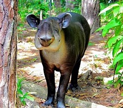 Best Belize City Tours