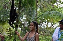Day Tours From Belize City