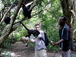 Belize Baboon Sanctuary Tour