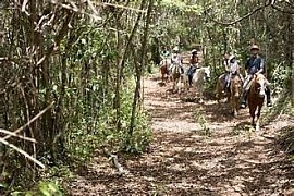 Belize Cave Tubing and Jungle Horseback Riding