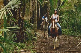 Horseback Riding From Belize City