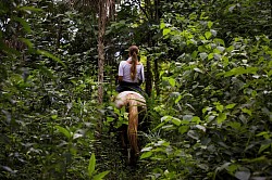 Day Tours From Belize City