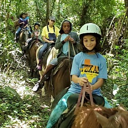 Horseback Riding From Belize City