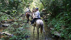 Horseback Riding From Belize City