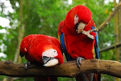 Day Tours From Belize City