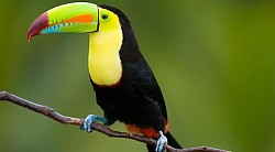 Day Tours From Belize City