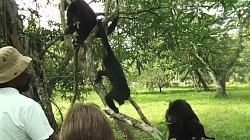 Belize City Tours