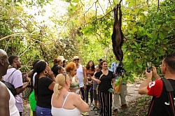 Excursions In Belize From Cruise Port