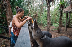Excursions In Belize From Cruise Port